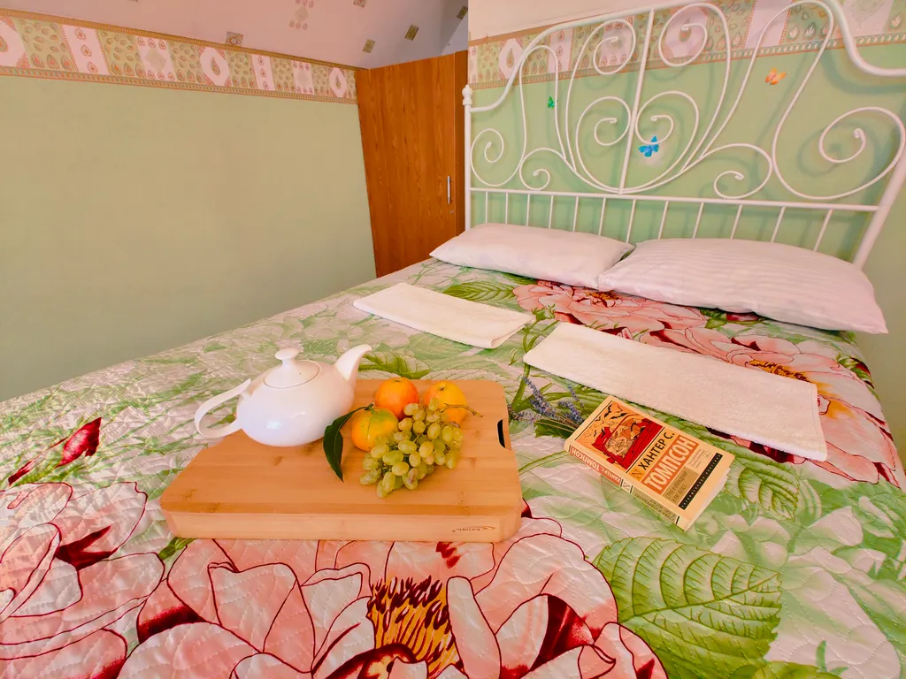 Двухкомнатные пятиместные апартаменты с мини-кухней