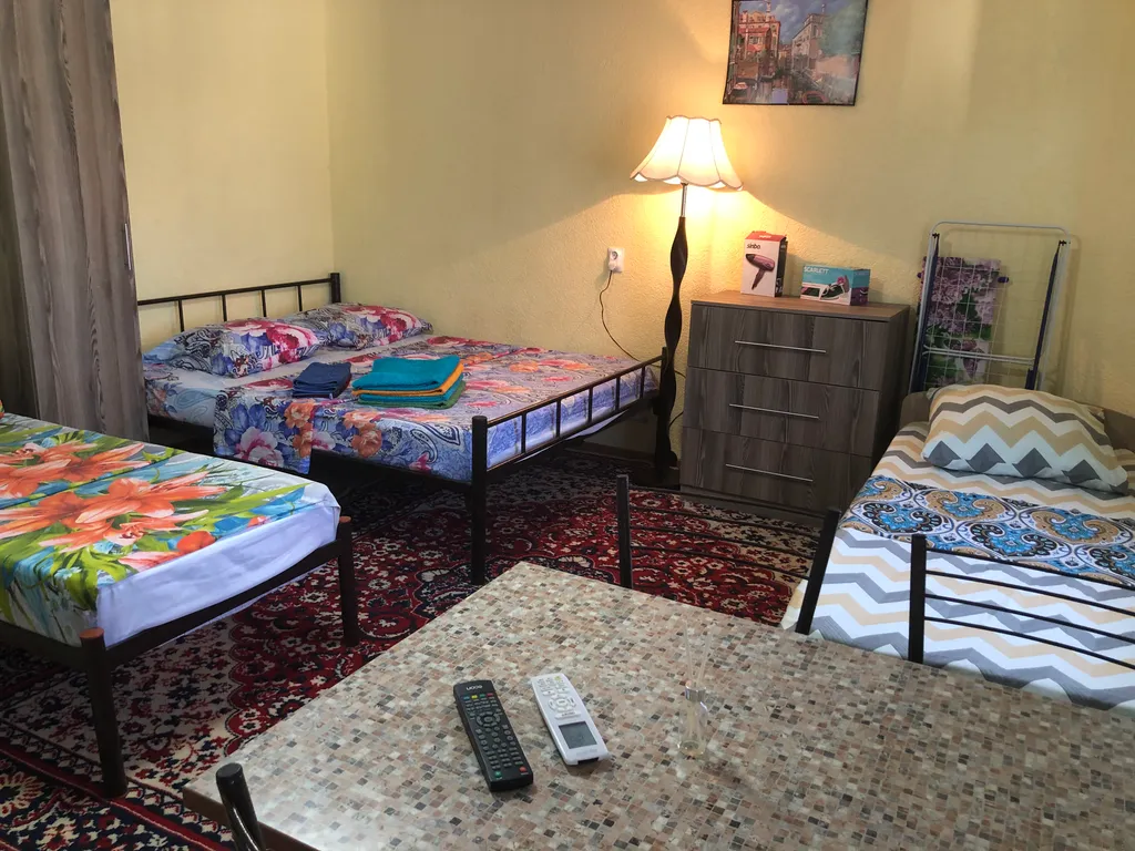 Квартира-студия с кухней и со своей ванной комнатой