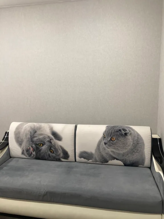 Уютная квартира на Авангардной 49