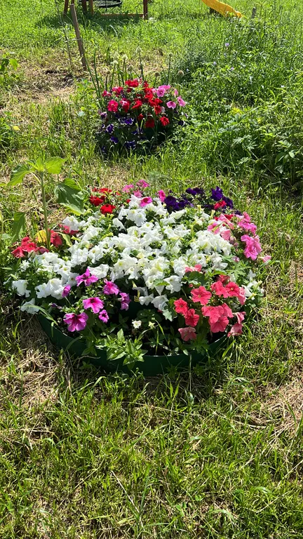 Коттедж Дом с видом на реку рядом с Raceway — Истра