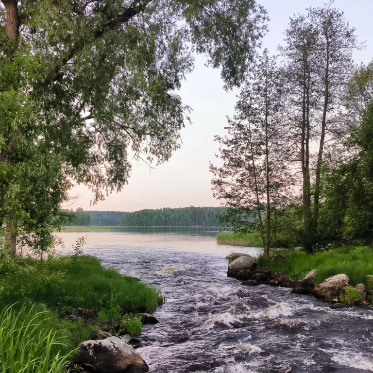 Дом на берегу озера с панорамным видом на лес