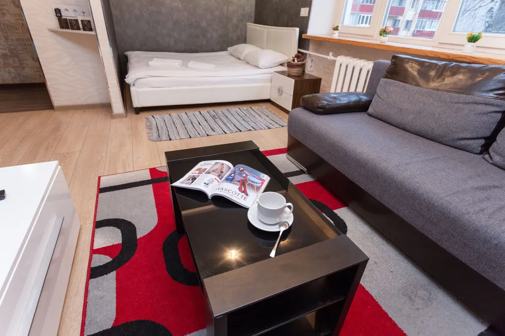 Просторный апартамент в центре столицы с красивым видом