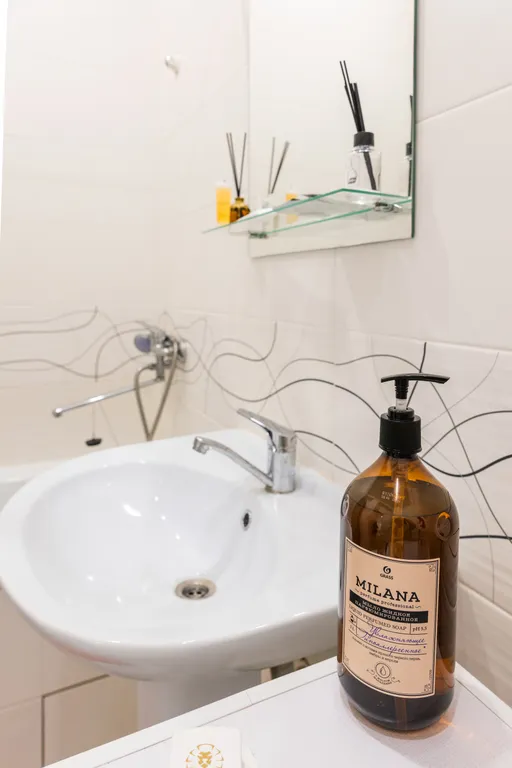 Лучшая квартира в центре 204