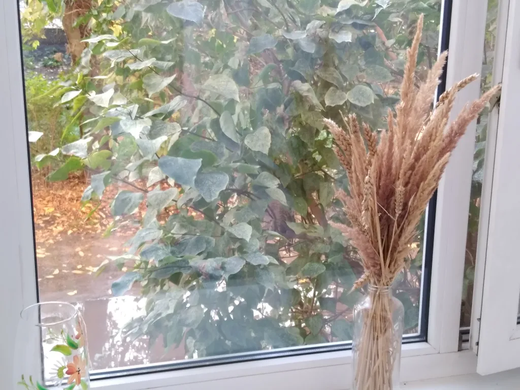 Семейная квартира рядом с Французским прудом