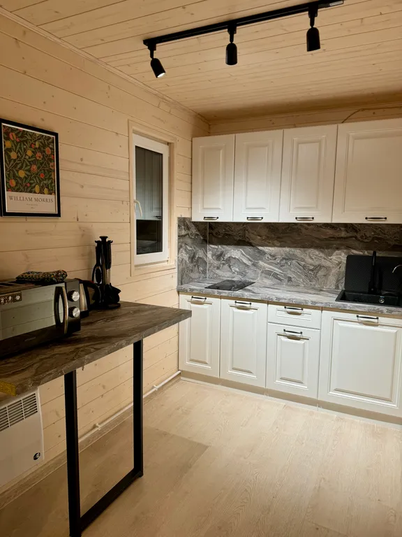 Дом с чаном и сауной в лесу