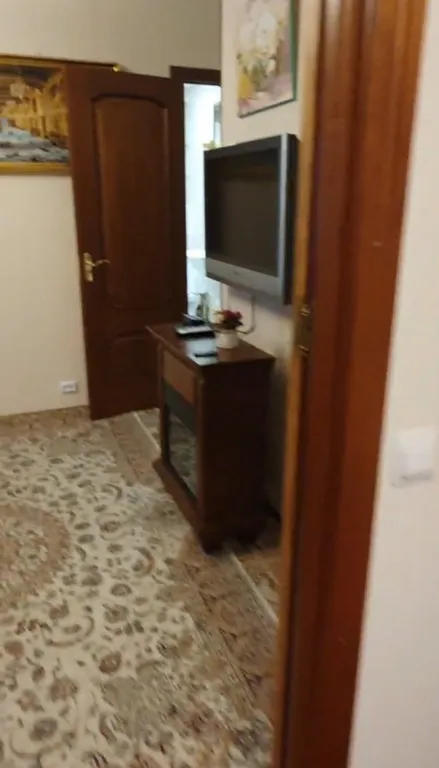 Квартира Квартира Евро-двушка с камином у Екатерининского дворца — Пушкин