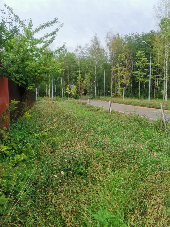 Павловские дачи с русской баней и тёплой купелью рядом с парком