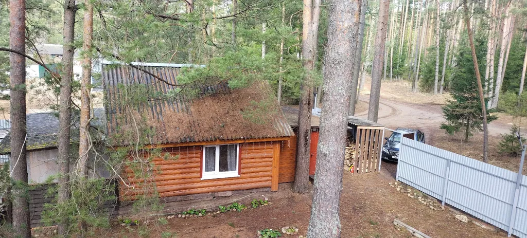Коттедж Домик в лесу у озера — Турбаза Чайка