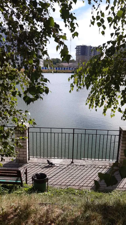 Квартира Уютная квартира в сердце города — Зеленоградск