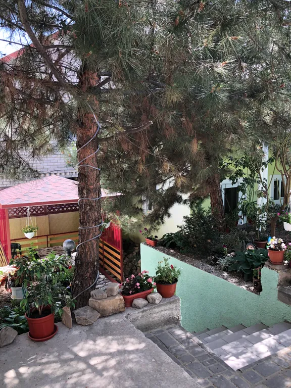 Квартира Квартира Уютный гостевой домик. Lemon с чистыми номерами, зелёным двориком. — Судак