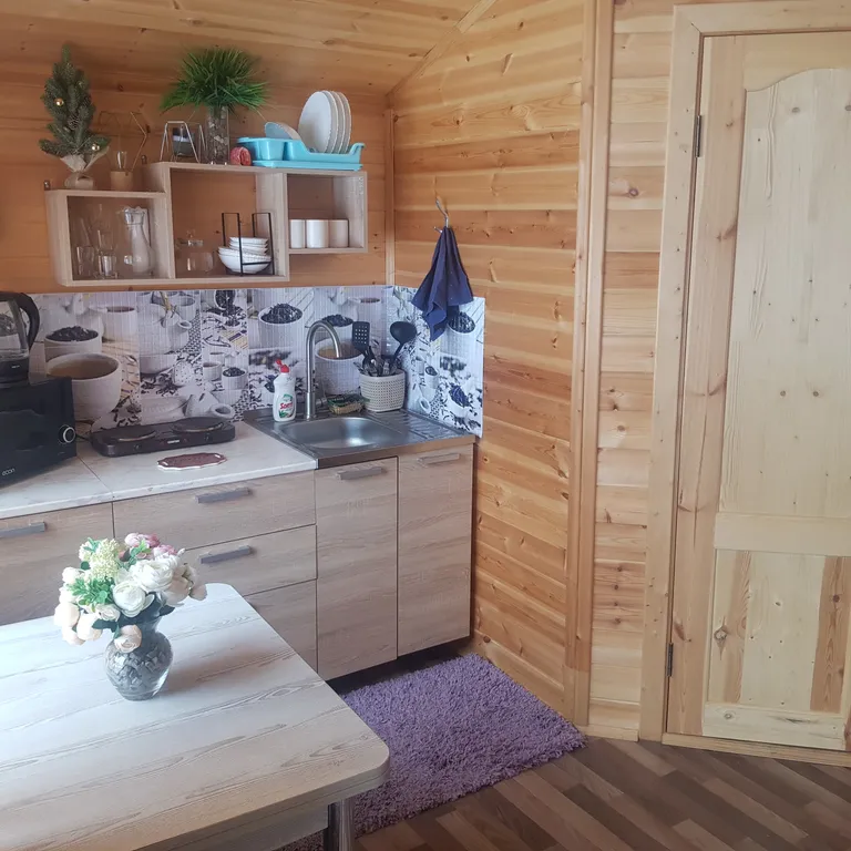 Эко домик 09