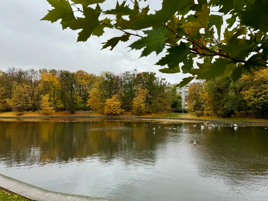 Квартира Двухкомнатная квартира у озера — Калининград