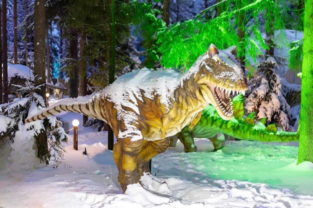 Студия Кукушкин лен у горнолыжных склонов