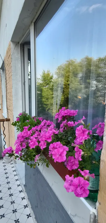 Уютная 2-комнатная квартира рядом с парком