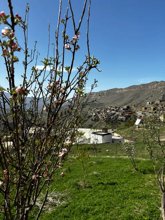 Уютный дом в Чохе