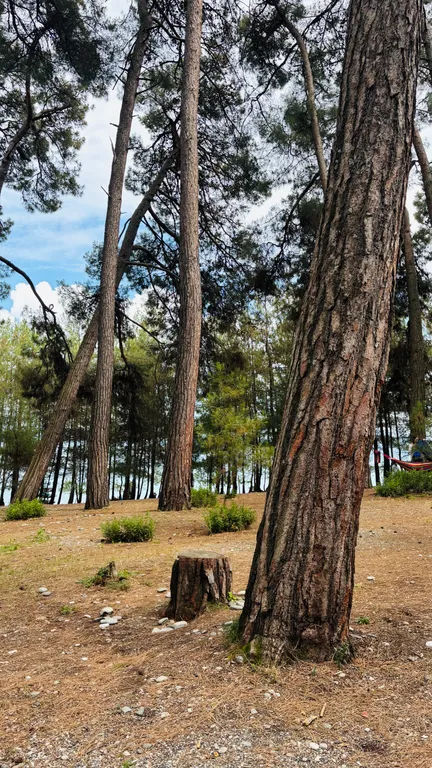 Дом-шалаш с собственной кухней Лдзаа