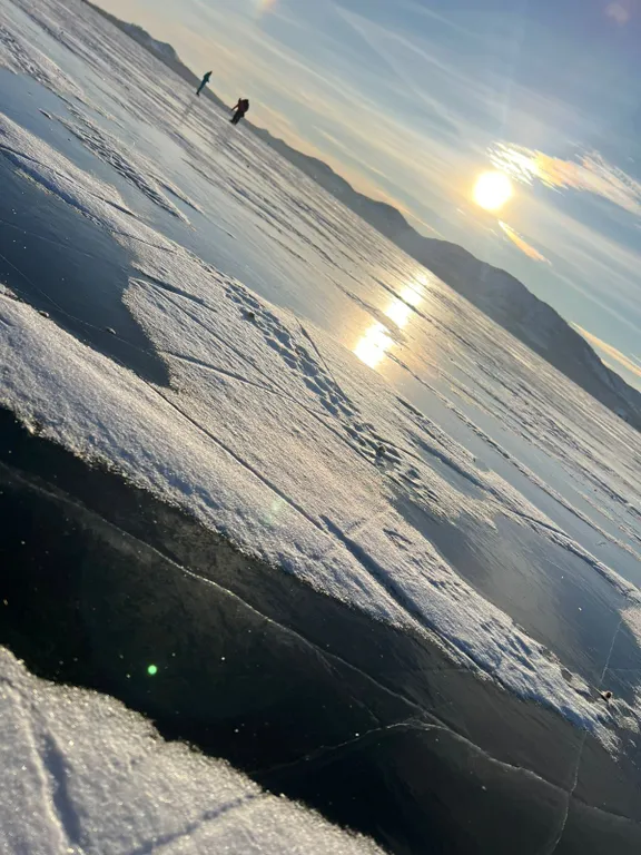 Уютная студия с видом на лес