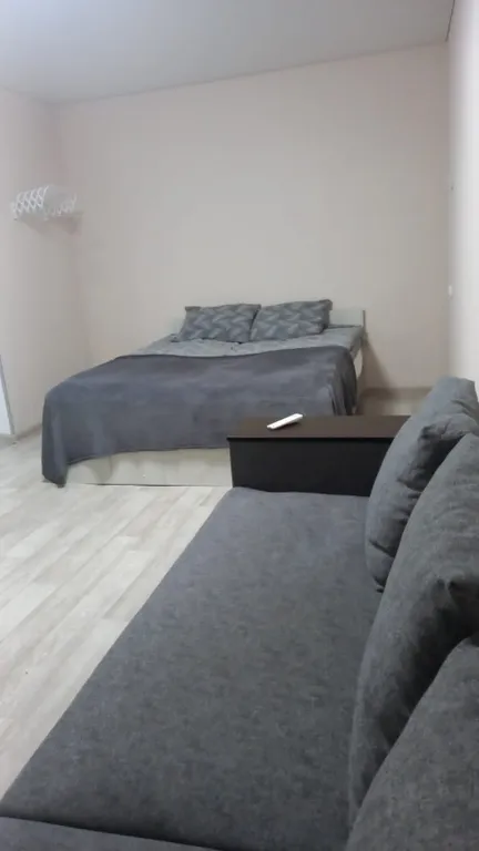 Уютная однокомнатная квартира