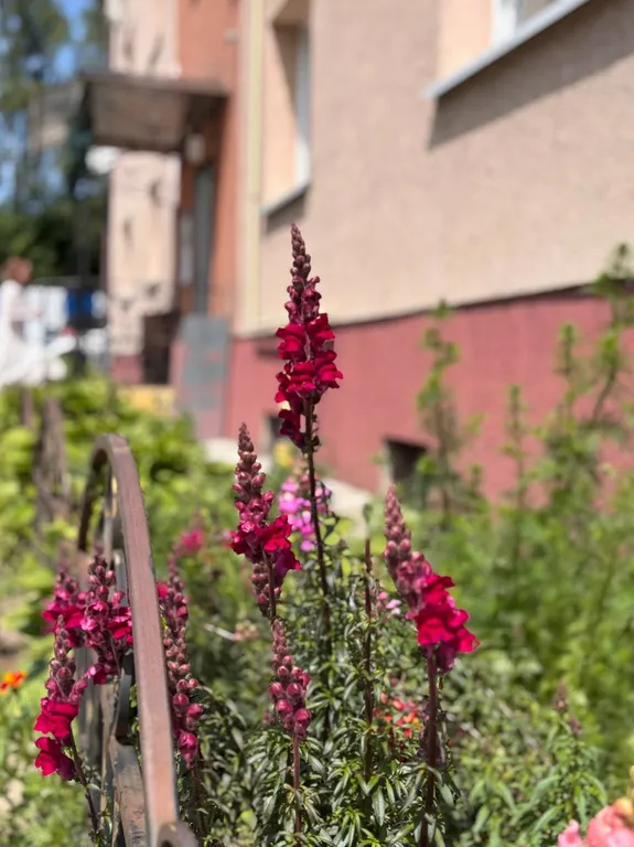 Квартира художника, 7 минут до пляжа, свободная парковка