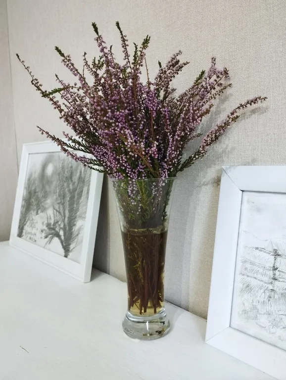 Маленький зеленый домик