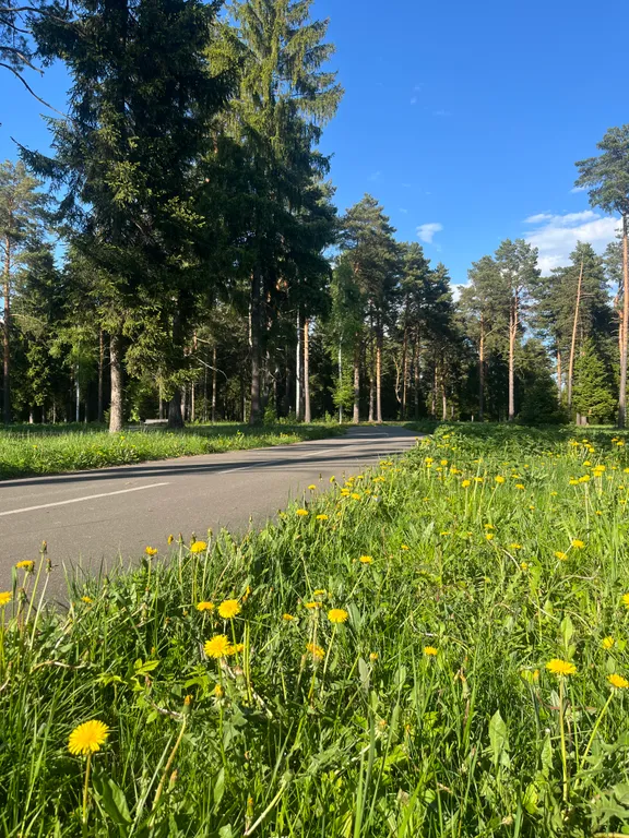 Квартира для прекрасного семейного отдыха