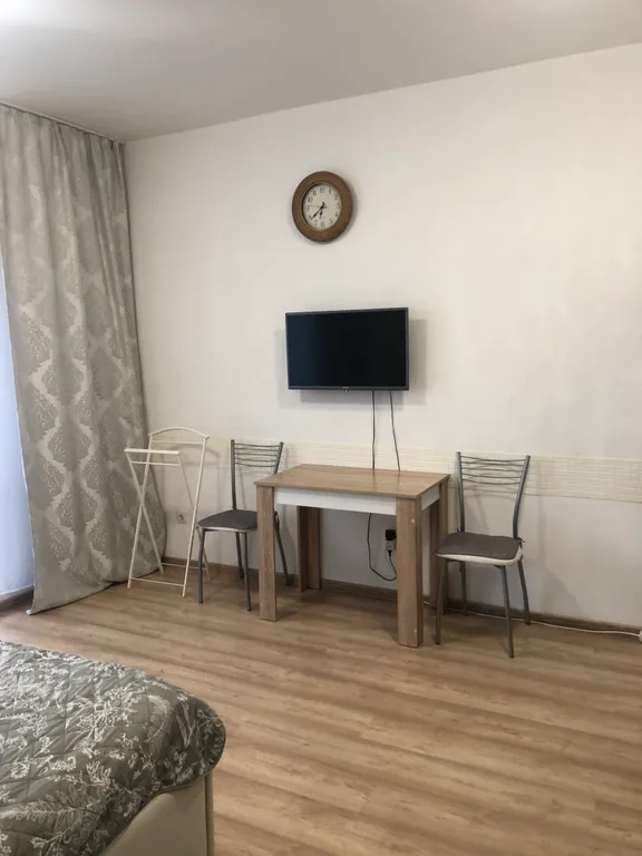 Уютная студия в Академическом районе