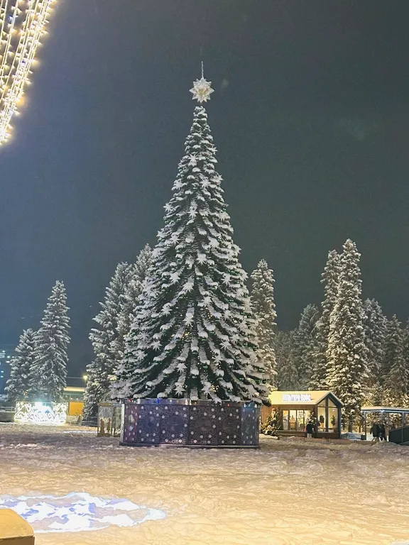 Квартира в центре с видом на горы и горнолыжную трассу