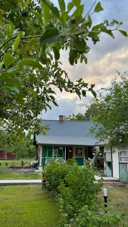 Агроусадьба Лесная Тишина в Беловежской пуще