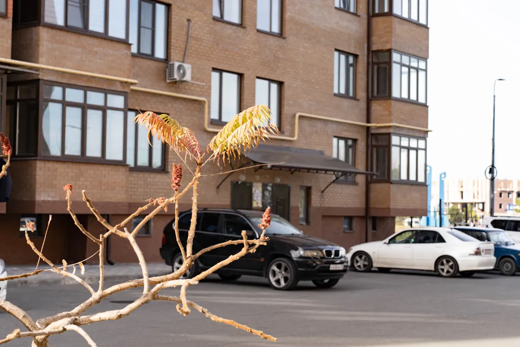 Квартира Уютная квартира с абсолютно новым ремонтом и техникой — Владикавказ