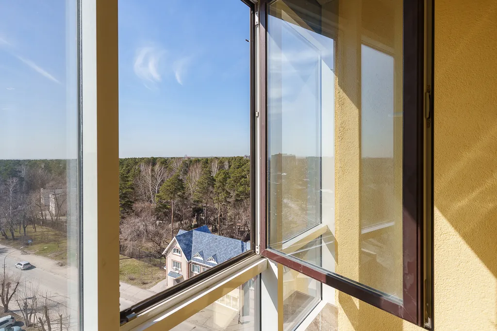 Зоопарк за окном