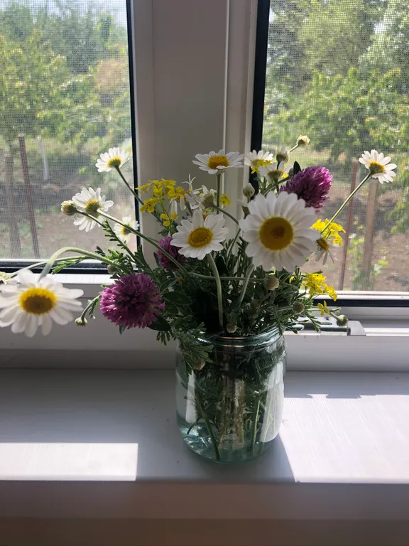 Домик у моря