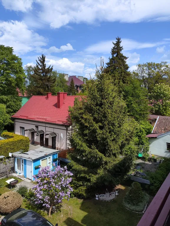 Квартира Уютные апартаменты в центре города — Светлогорск