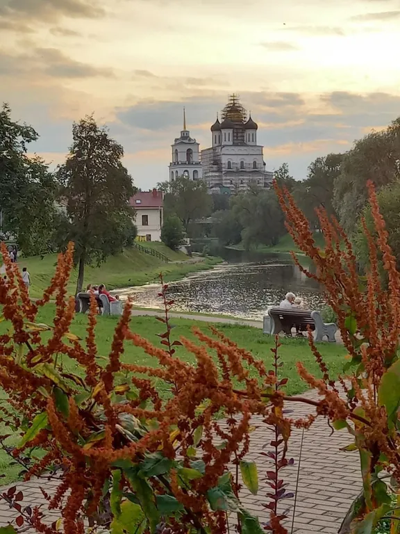 Золотая середина