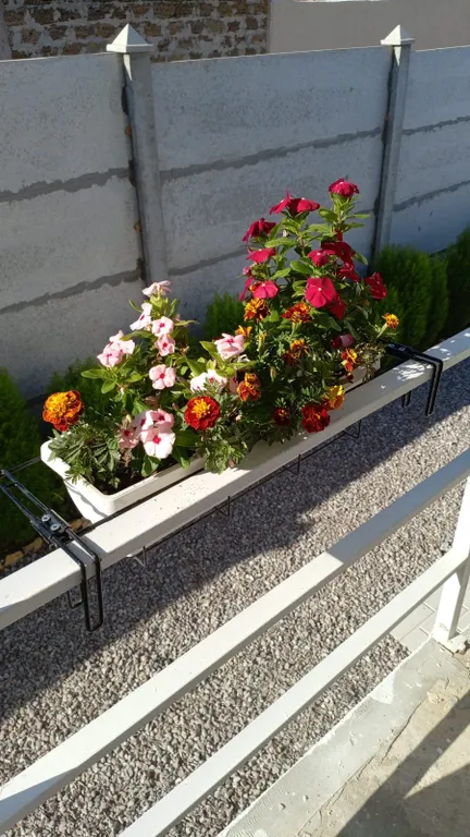 Квартира 1-комнатная Квартира — Севастополь