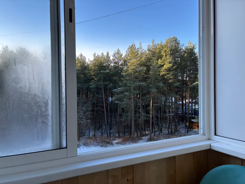 Уютная студия с видом на лес