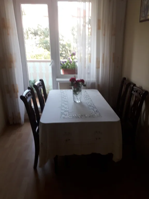 Квартира Уютная квартира в зеленой зоне — Светлогорск