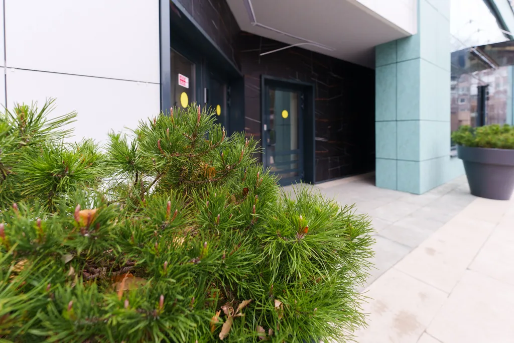 Уютный апартамент