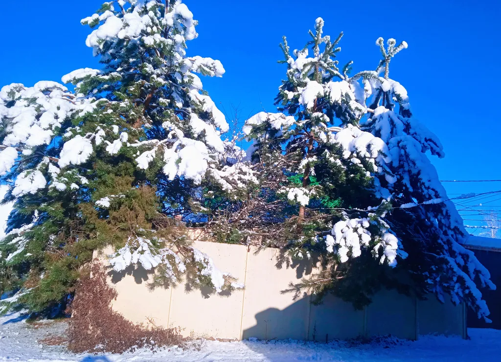 Уютный домик с русской банькой