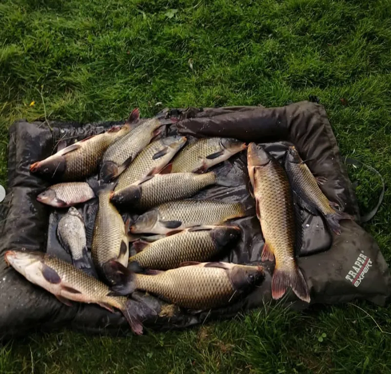 Усадьба Пядань, рыбалка
