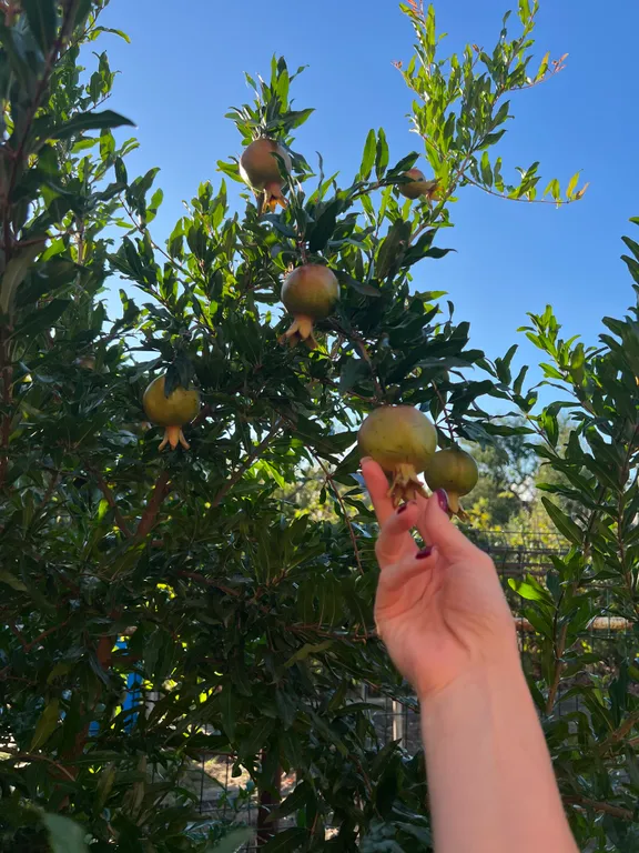 Уютный сруб №2 в центре станицы