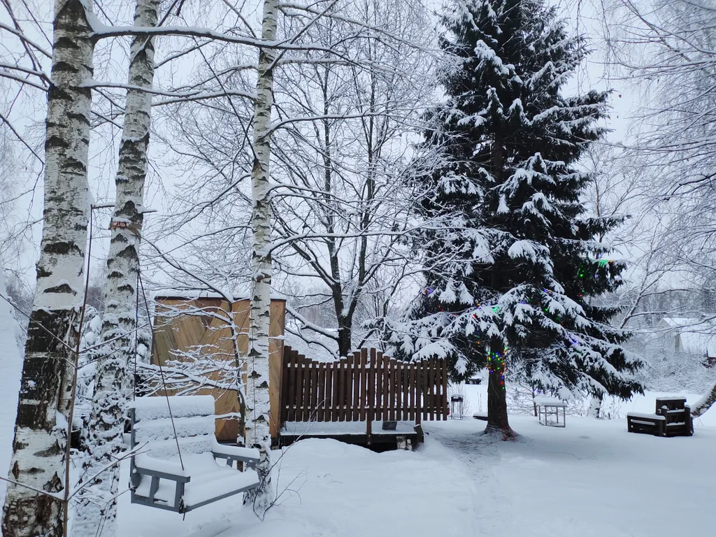Чудо-дача, дом Акула на берегу пруда
