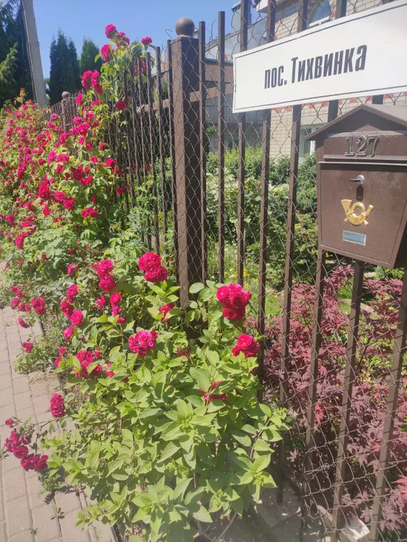 Отдельная квартира в частном гостевом доме ( из оцилиндрованногбревна)