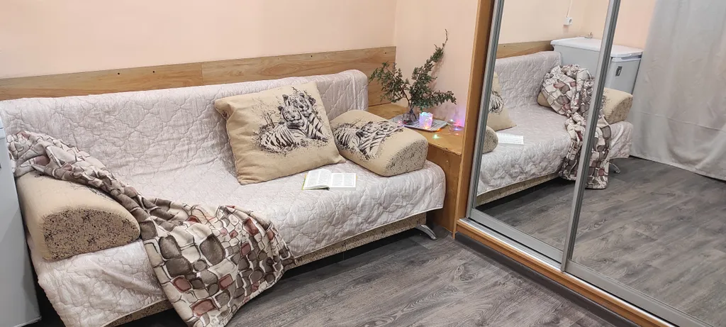 Студия с санузлом и зоной кухни