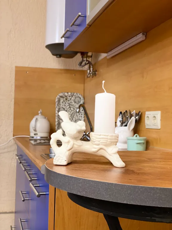 Квартира в центре города на красивой исторической улице