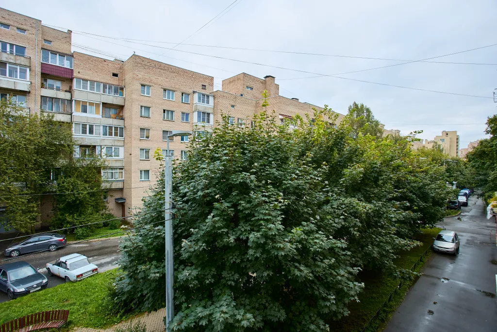 Просторная двухкомнатная квартира