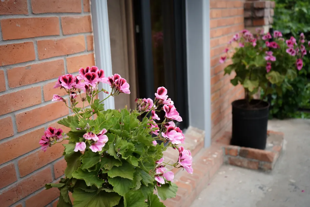 Квартира 1-комнатная Квартира — Сухум