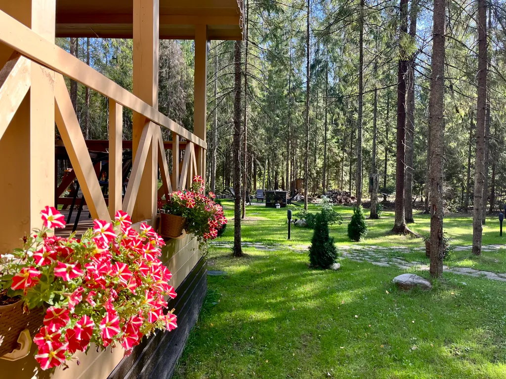 Коттедж Коттедж Гармония леса на берегу озера Волго на Селигере — Турбаза Чайка