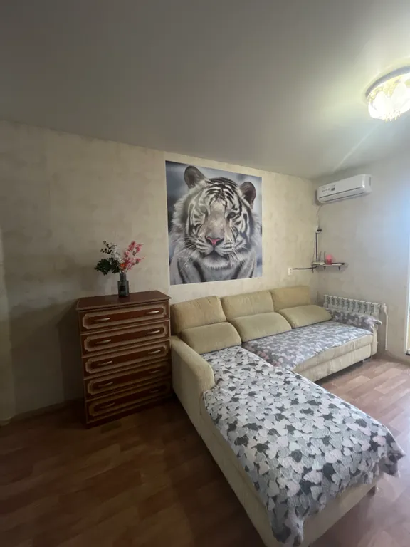 Студия с автономным отоплением и кондиционером