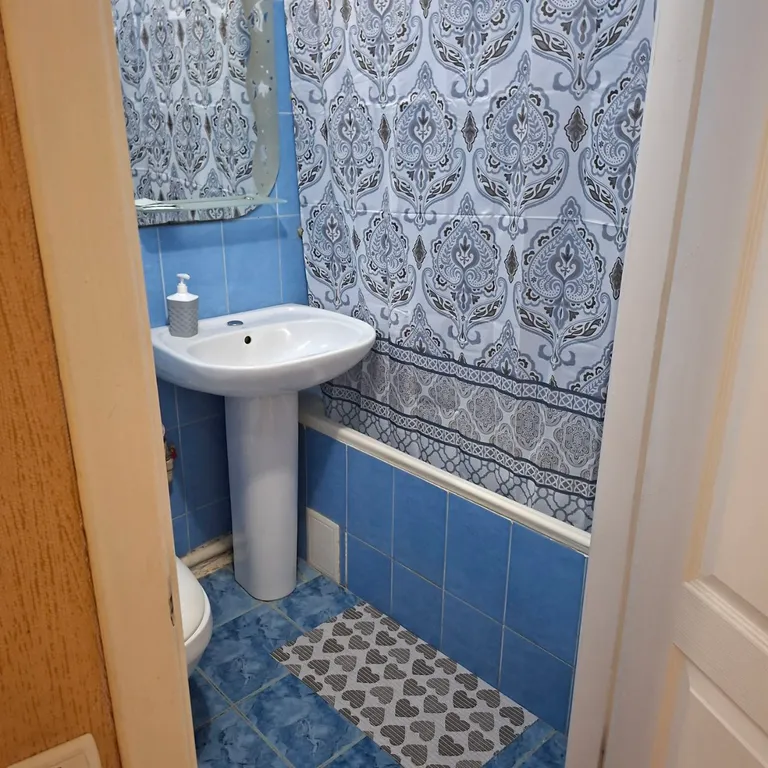 Уютная квартира на курорте. Солевое озеро, грязи, зоопарк, аквапарк.