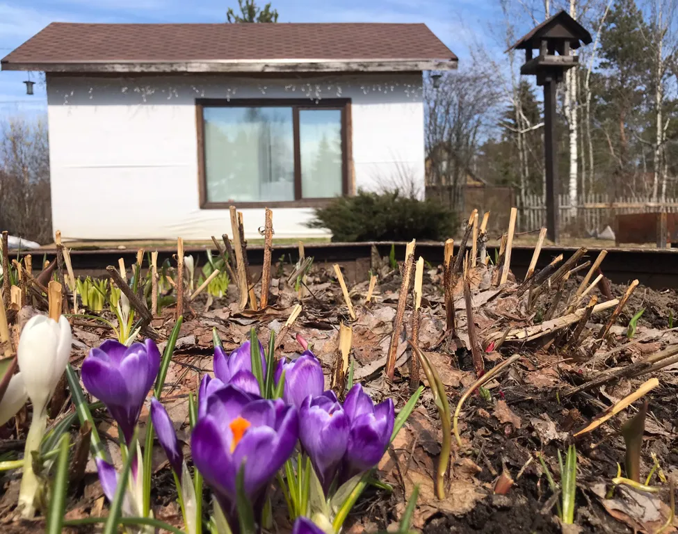 Дачный домик